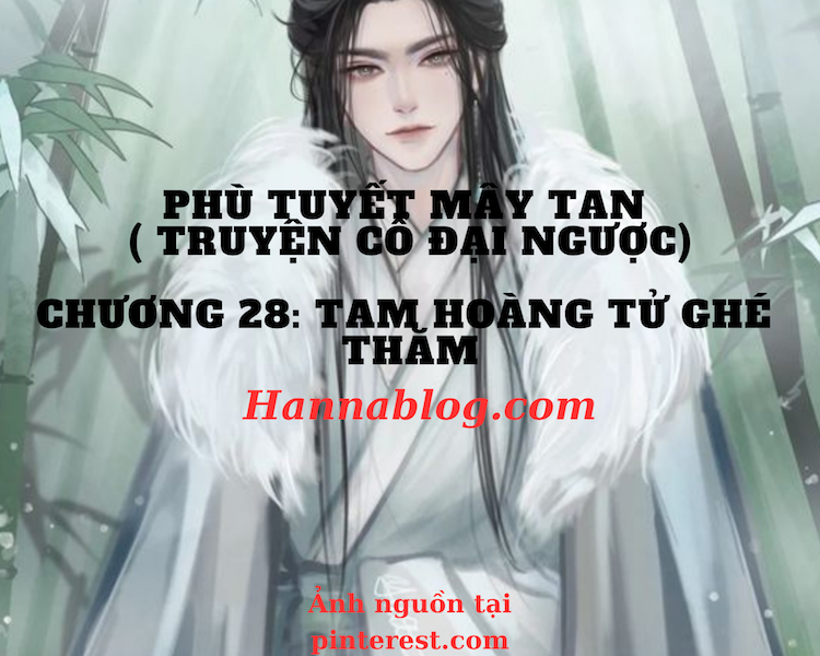 Truyện cổ đại ngược chương 28 hoàng tử ghé thăm