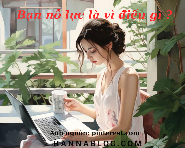 Bạn nỗ lực vì điều gì ? hannablog.com