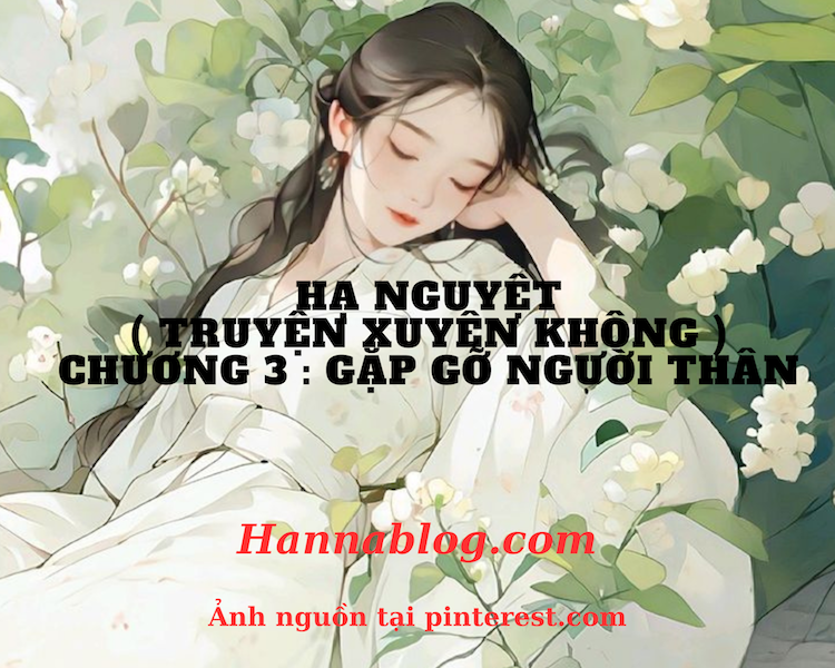 Truyện xuyên không hay Hạ Nguyệt chương 3 hannablog.com